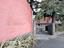 Immagine 3