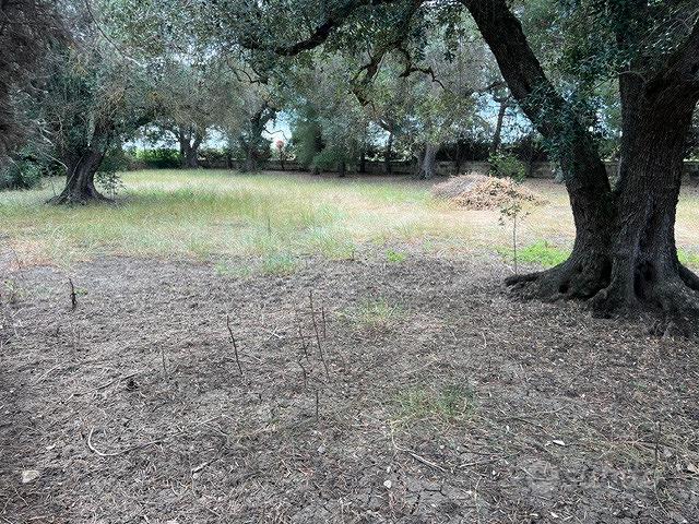 Casa – Mesagne, Brindisi - Vista 4