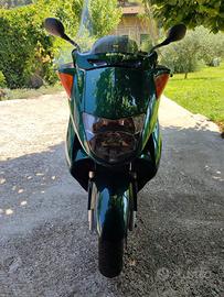 Honda foresight 250