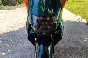 Honda foresight 250