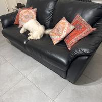 Divano letto in pelle  matrimoniale come nouonuovo