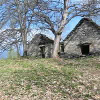 Rustico/Casale/Corte Crevoladossola [81328VRG]