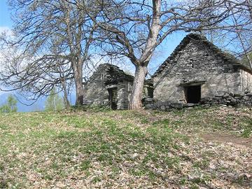 Rustico/Casale/Corte Crevoladossola [81328VRG]