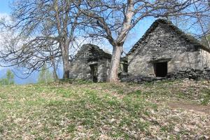 Rustico/Casale/Corte Crevoladossola [81328VRG]