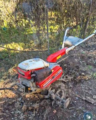 Motozappa yanmar