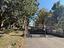 Immagine 8