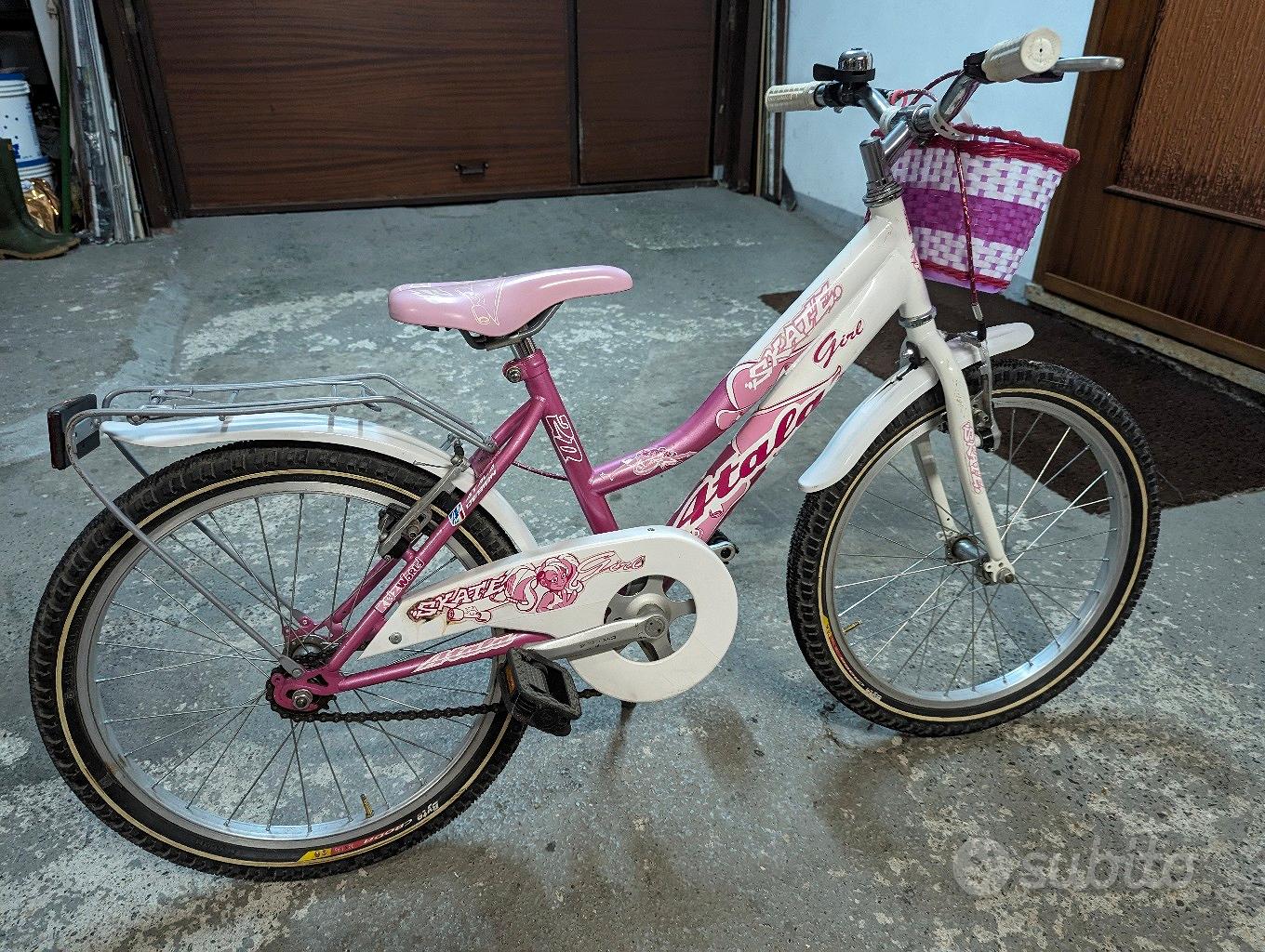 Bicicletta Vintage Biciclette Olandesi Usate Paesi Bassi