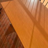 SOLO 2 PEZZI...ULTIMI