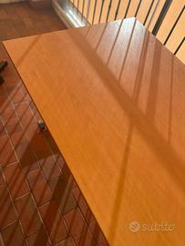 SOLO 2 PEZZI...ULTIMI