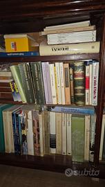 Lotto libri storia arte letteratura e cultura