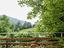 Immagine 18
