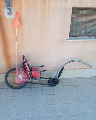Rimorchio bici per bambini 