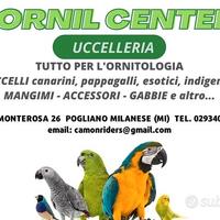Uccelleria ornitologia miscele allevamento