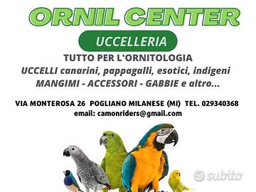 Uccelleria ornitologia miscele allevamento