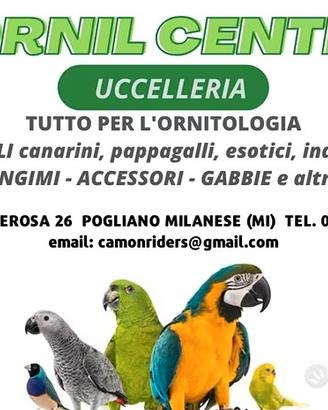 Uccelleria ornitologia miscele allevamento