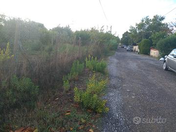 Terreno ad uso agricolo o edificabile