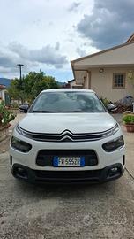 C4 CACTUS