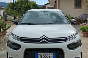 C4 CACTUS