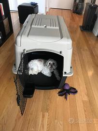 Cuccia trasporto da viaggio per cani