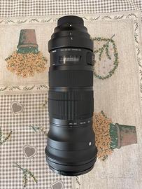 Sigma 120-300mm attacco Nikon