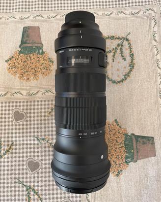 Sigma 120-300mm attacco Nikon