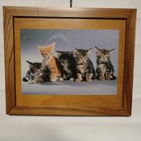 quadri gattini pastore tedesco