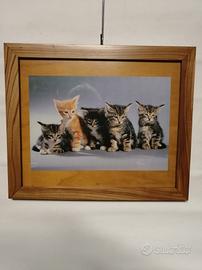 quadri gattini pastore tedesco