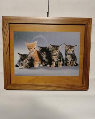 quadri gattini pastore tedesco