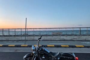 harley davidson softail heritage