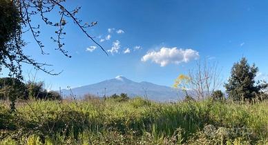 Terreno edificabile Valverde (Carminello)