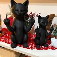 Gattino nel chill con difo medio