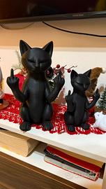 Gattino nel chill con difo medio