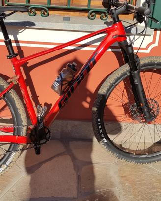 MTB giant