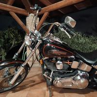 Harley Davidson Softail Custom 