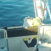 Fuoribordo gambo corto 4 tempi Suzuki 8cv