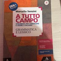 A tutto campo grammatica e lessico