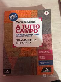 A tutto campo grammatica e lessico