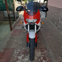 Pegaso cube 650
