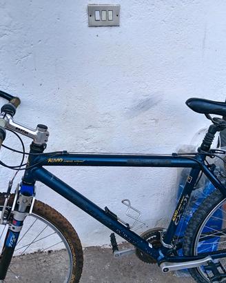 mtb alluminio Shimano alivio