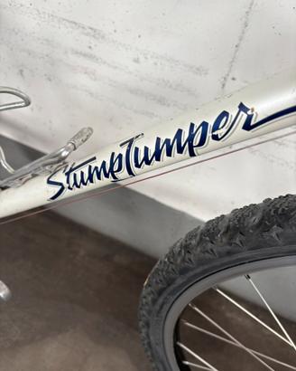 Specialized stumpjumper vintage