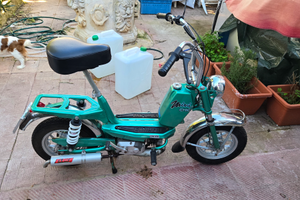 Mini chic cimatti 1979