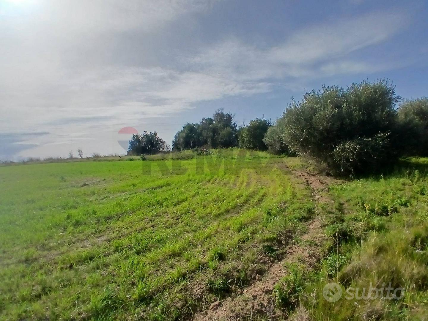 Terreno Edificabile - Noto - Vista 4