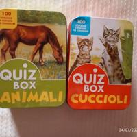 Giochi in scatola