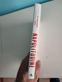 Napolitudine, Mondadori editore 