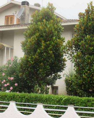 Villa di 355 m² con più di 5 locali e box auto dop