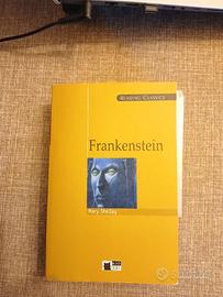 Libro FRANKENSTEIN di Mary Shelley in inglese