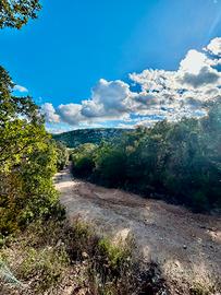 Sughereta produttiva-Calangianus Loc. Miriacheddu