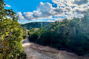 Sughereta produttiva-Calangianus Loc. Miriacheddu