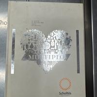 Multiplo Scholtes induzione