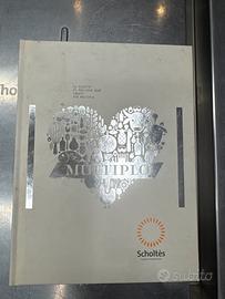 Multiplo Scholtes induzione